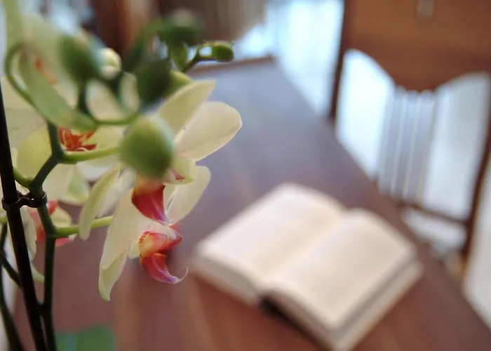 Szálloda Waldhotel & - For Body & Soul